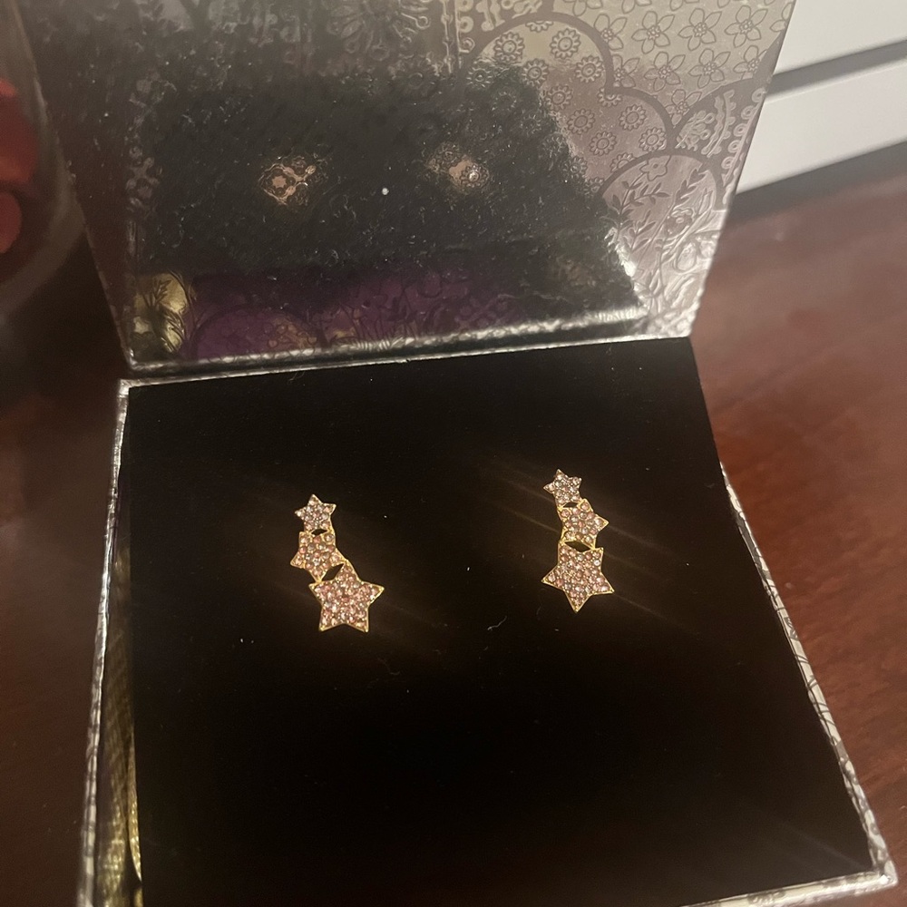 Taylor Swift Speak Now Star Earrings